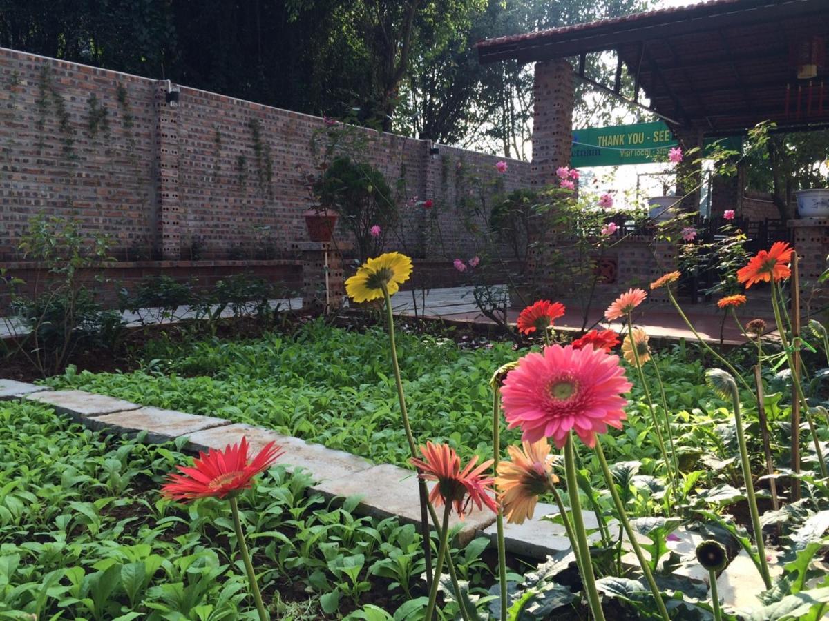 Tam Coc Craft Homestay Ninh Binh Cameră foto